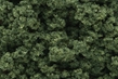 Woodland Scenics: Clump Foliage- Medium Green (Large Bag) - WS183 [724771001836]