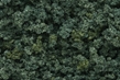 Woodland Scenics: Underbrush- Medium Green (32oz Shaker) - WS1636 [724771016366]