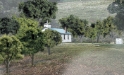 Woodland Scenics: Ready Made Trees: Deciduous Mixed Green- 23 Trees 