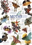 Cobble Hill Puzzles (1000): Moth Collection - 80016 [625012800167]