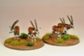 North Star Africa: Oryx (5) 