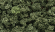 Woodland Scenics: Bushes- Olive Green (Small Bag) - WS144 WSCFC144 [724771001447]