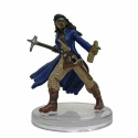 Pathfinder Battles: The Mwangi Expanse: #13 Vidrian Revoultionary (C) 