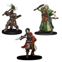 Pathfinder Battles: Iconic Heroes Box Set 4 