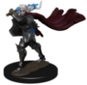 Pathfinder Battles: PREMIUM PAINTED FIGURES - ELF CHAMPION FEMALE 