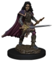 Pathfinder Battles: PREMIUM PAINTED FIGURES - HUMAN BARD FEMALE 
