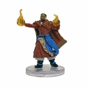 Pathfinder Battles: The Mwangi Expanse: #37 High Sun-Mage Oyamba (R) 