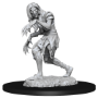 Pathfinder Deep Cuts: Annis Hag and Green Hag - 90266 [634482902660]