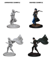 Pathfinder Deep Cuts: ELF FEMALE ROGUE 