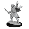 Pathfinder Deep Cuts: ELF SORCERER MALE (2) 