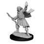 Pathfinder Deep Cuts: ELF SORCERER MALE (2) - 90262 [634482902622]