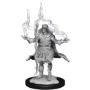 Pathfinder Deep Cuts: ELF SORCERER MALE (2) - 90262 [634482902622]