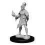 Pathfinder Deep Cuts: Elf Female Sorcerer - 72606 [634482726068]