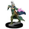 Pathfinder Deep Cuts: Elf Female Sorcerer 