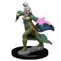 Pathfinder Deep Cuts: Elf Female Sorcerer - 72606 [634482726068]