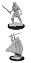 Pathfinder Deep Cuts: Elf Fighter Male 