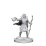Pathfinder Deep Cuts: Elf Male Sorcerer - 72605 [634482726051]