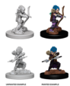 Pathfinder Deep Cuts: FEMALE GNOME ROGUE 