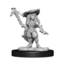 Pathfinder Deep Cuts: GNOME BARD FEMALE 