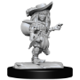 Pathfinder Deep Cuts: GNOME BARD FEMALE - 90327 [634482903278]