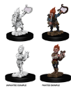 Pathfinder Deep Cuts: GNOME MALE BARD 
