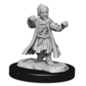 Pathfinder Deep Cuts: HALFLING MONK MALE 