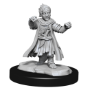 Pathfinder Deep Cuts: HALFLING MONK MALE - 90328 [634482903285]