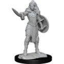 Pathfinder Deep Cuts: HUMAN CHAMPION FEMALE (2) 