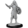 Pathfinder Deep Cuts: HUMAN CHAMPION FEMALE (2) - 90264 [634482902646]