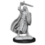Pathfinder Deep Cuts: HUMAN CHAMPION FEMALE (2) - 90264 [634482902646]