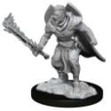 Pathfinder Deep Cuts: HUMAN CHAMPION MALE (2) 