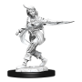 Pathfinder Deep Cuts: HUMAN ROGUE FEMALE (2) - 90269 [634482902691]