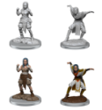 Pathfinder Deep Cuts: Half-Elf Monk Females 