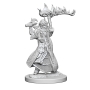 Pathfinder Deep Cuts: Human Female Cleric (2) - 72601 [634482726013]