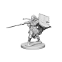Pathfinder Deep Cuts: Human Female Paladin (2) - 72607 [634482726075]