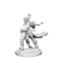 Pathfinder Deep Cuts: Human Female Sorcerer (2) - 72604 [634482726044]