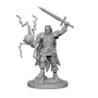 Pathfinder Deep Cuts: Human Male Cleric (2) - 72600 [634482726006]