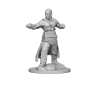 Pathfinder Deep Cuts: Human Male Monk (2) - 72612 [634482726129]