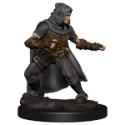 Pathfinder Deep Cuts: Human Male Rogue 