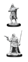 Pathfinder Deep Cuts: Human Rogue Male 