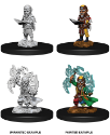 Pathfinder Deep Cuts: Male Gnome Sorcerer 
