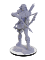Pathfinder Deep Cuts Miniatures: Wood Giant 