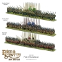 Pike &amp; Shotte: Epic Battles: Push of Pike Starter Set - 212010002 [5060917991636]
