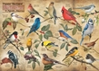 Cobble Hill Puzzles (1000): Popular Backyard Wild Birds of North America - 80024 [625012800242]