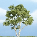 Woodland Scenics: Premium Trees: Birch 
