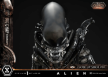 Prime 1 Studio: Museum Masterline XL Alien (Film) Big Chap Xenomorph Close Up Shot Ver. DX Bonus Version - MMXLAL-03DXS [4582647123985]