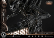 Prime 1 Studio: Museum Masterline XL Alien (Film) Big Chap Xenomorph Close Up Shot Ver. DX Bonus Version - MMXLAL-03DXS [4582647123985]