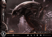 Prime 1 Studio: Museum Masterline XL Alien (Film) Big Chap Xenomorph Close Up Shot Ver. DX Bonus Version - MMXLAL-03DXS [4582647123985]