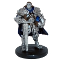 D&D Icons of the Realms: Rage of Demons: #015 Half-Orc Paladin (U) 