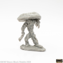 Reaper Bones Black: Fungal Guardian 